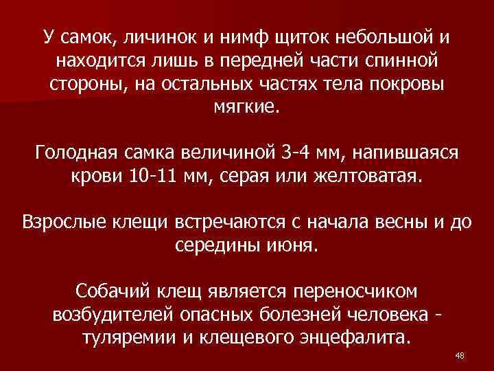 У самок, личинок и нимф щиток небольшой и находится лишь в передней части спинной