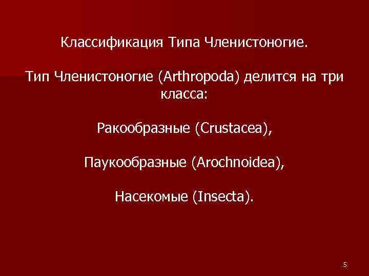 Классификация Типа Членистоногие. Тип Членистоногие (Arthropoda) делится на три класса: Ракообразные (Crustacea), Паукообразные (Arochnoidea),