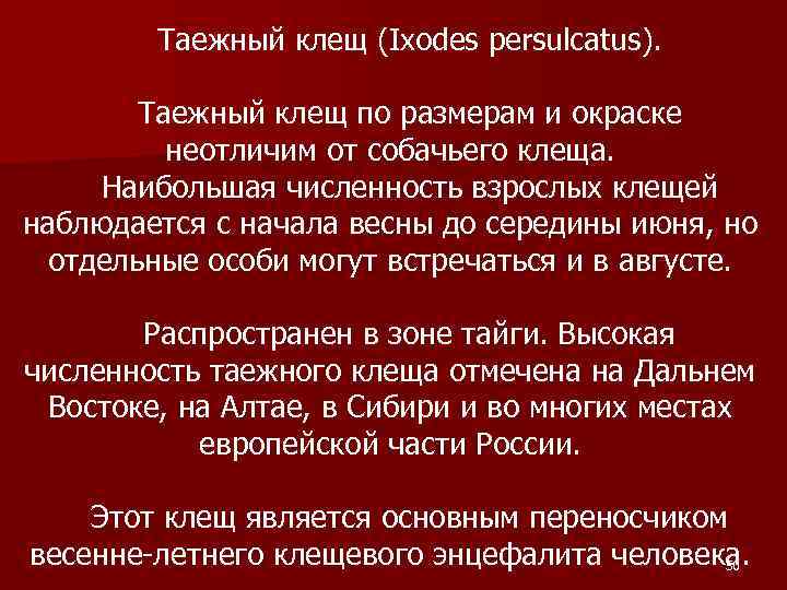 Таежный клещ (Ixodes persulcatus). Таежный клещ по размерам и окраске неотличим от собачьего клеща.