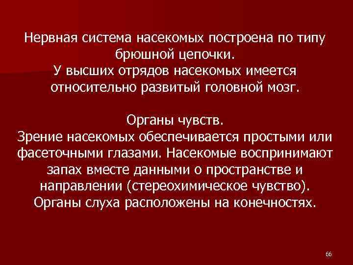 Нервная система насекомых построена по типу брюшной цепочки. У высших отрядов насекомых имеется относительно