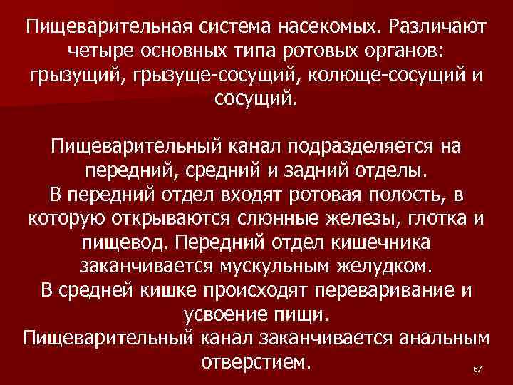 Пищеварительная система насекомых. Различают четыре основных типа ротовых органов: грызущий, грызуще-сосущий, колюще-сосущий и сосущий.