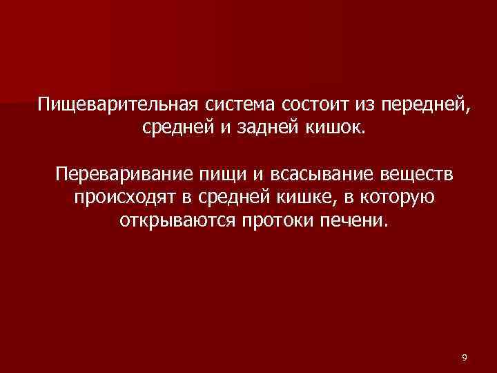 Пищеварительная система состоит из передней, средней и задней кишок. Переваривание пищи и всасывание веществ