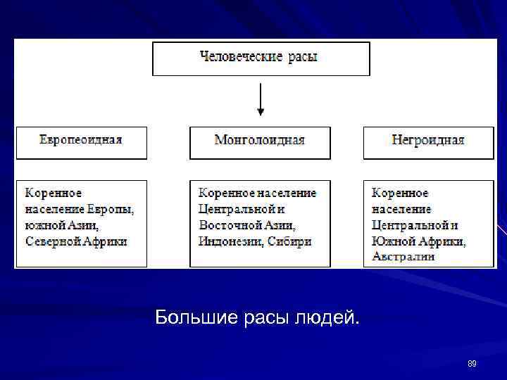 Большие расы людей. 89 