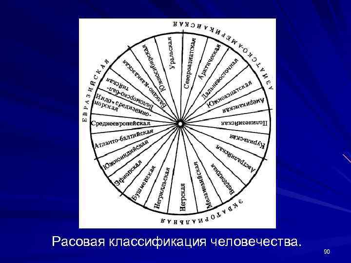 Расовая классификация человечества. 90 