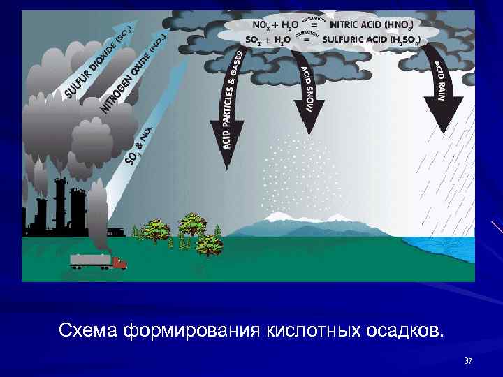 Схема формирования кислотных осадков. 37 