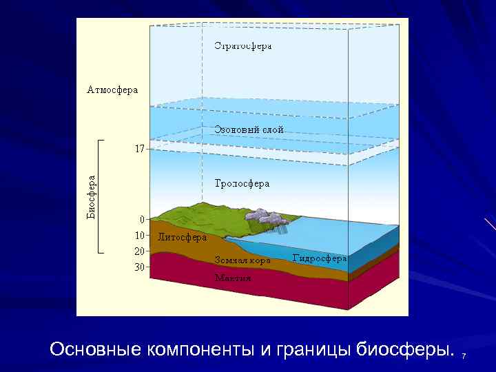 Границы биосферы в атмосфере определяются