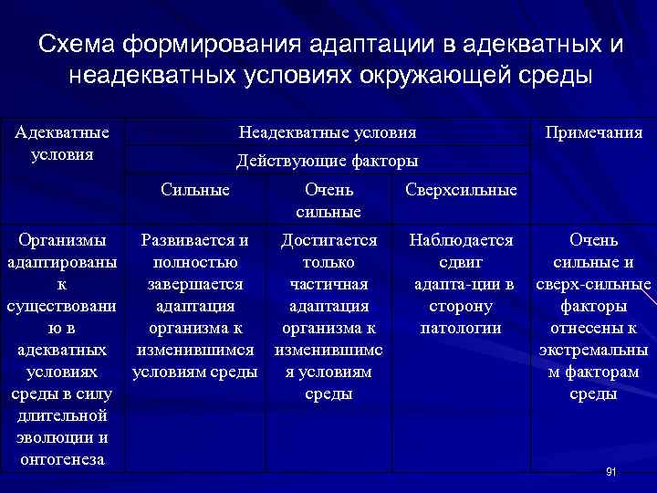 Схема формирования адаптации в адекватных и неадекватных условиях окружающей среды Адекватные условия Неадекватные условия