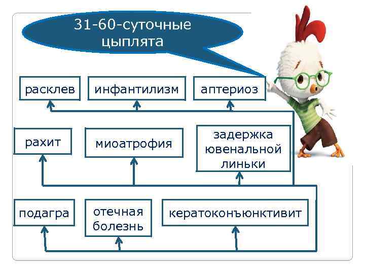 31 -60 -суточные цыплята расклев рахит подагра инфантилизм миоатрофия отечная болезнь аптериоз задержка ювенальной