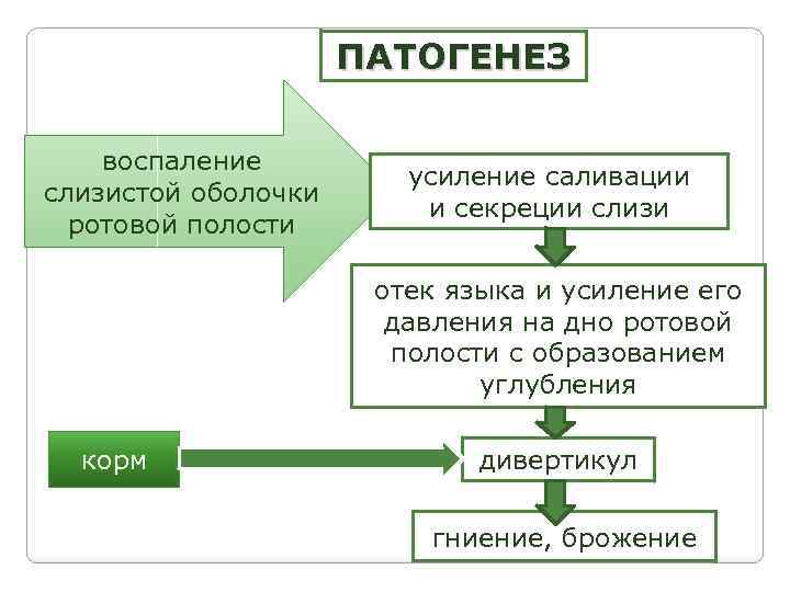 ПАТОГЕНЕЗ воспаление слизистой оболочки ротовой полости усиление саливации и секреции слизи отек языка и