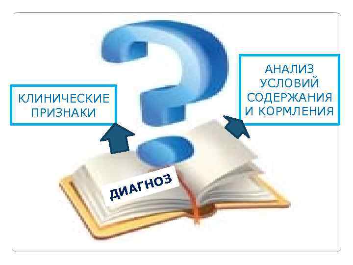 АНАЛИЗ УСЛОВИЙ СОДЕРЖАНИЯ И КОРМЛЕНИЯ КЛИНИЧЕСКИЕ ПРИЗНАКИ ДИ НОЗ АГ 