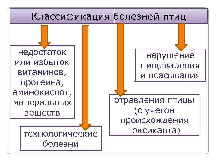 Классификация болезней птиц недостаток или избыток витаминов, протеина, аминокислот, минеральных веществ технологические болезни нарушение