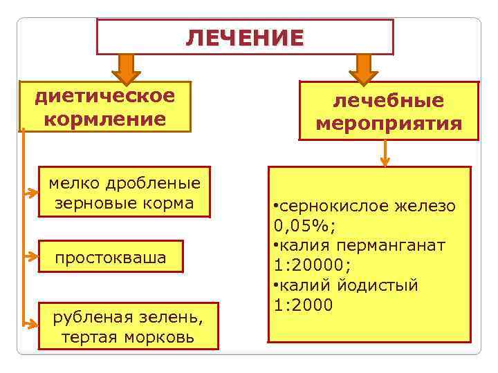 ЛЕЧЕНИЕ диетическое кормление мелко дробленые зерновые корма простокваша рубленая зелень, тертая морковь лечебные мероприятия