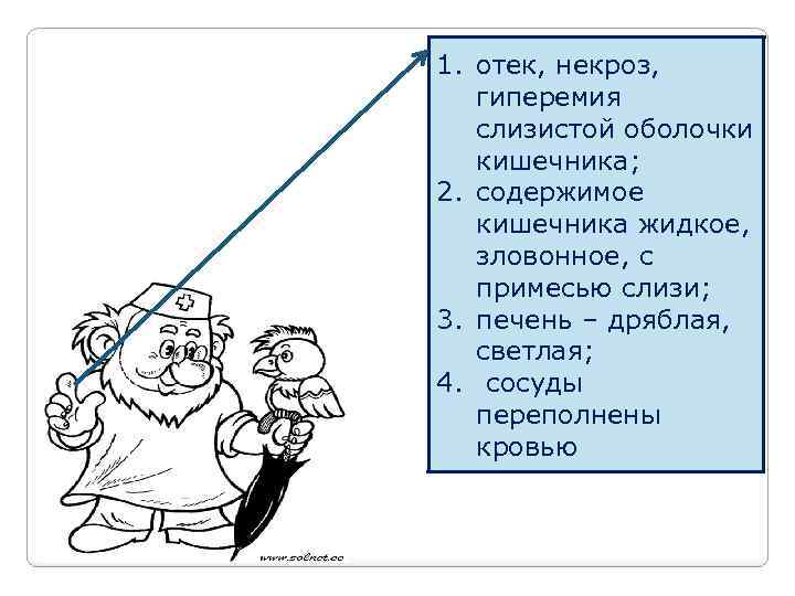 1. отек, некроз, гиперемия слизистой оболочки кишечника; 2. содержимое кишечника жидкое, зловонное, с примесью