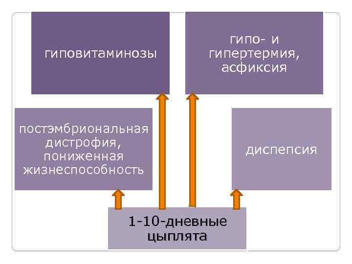 гиповитаминозы гипо- и гипертермия, асфиксия постэмбриональная дистрофия, пониженная жизнеспособность 1 -10 -дневные цыплята диспепсия