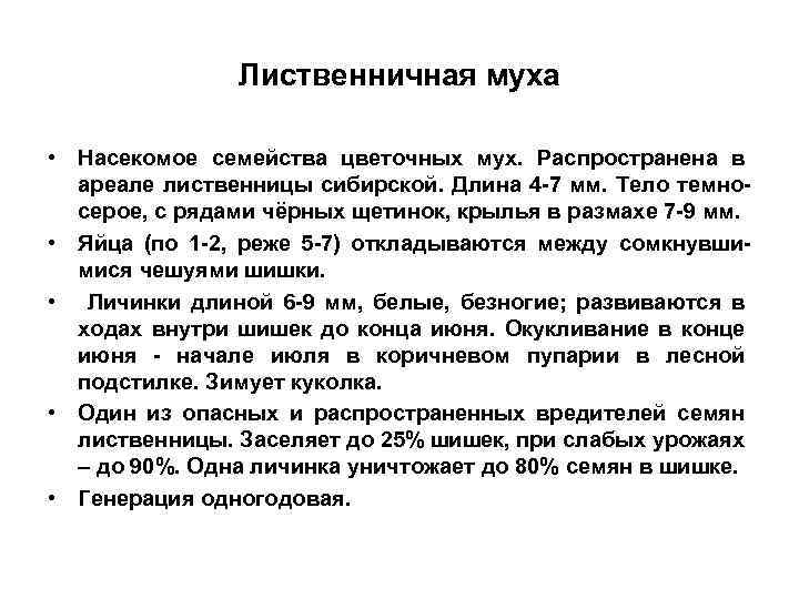 Лиственничная муха • Насекомое семейства цветочных мух. Распространена в ареале лиственницы сибирской. Длина 4