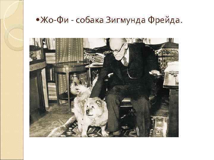  • Жо-Фи - собака Зигмунда Фрейда. 