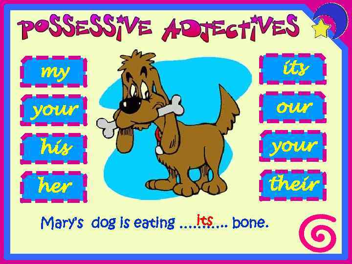 my its your his your her their its Mary’s dog is eating ………. .