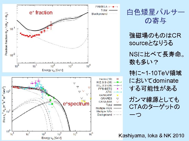 白色矮星パルサー の寄与 e+ fraction 強磁場のものはCR sourceとなりうる NSに比べて長寿命。 数も多い？ 特に~1 -10 Te. V領域 においてdominate する可能性がある