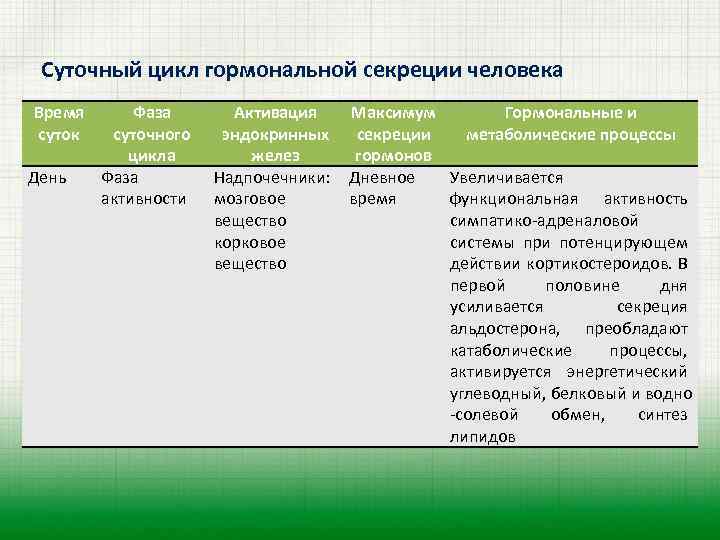 Суточный цикл гормональной секреции человека Время суток День Фаза суточного цикла Фаза активности Активация