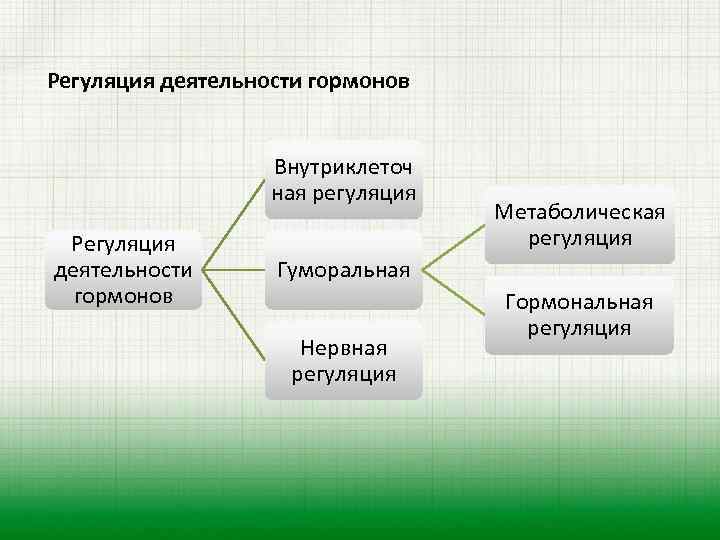 Регуляция деятельности гормонов Внутриклеточ ная регуляция Регуляция деятельности гормонов Метаболическая регуляция Гуморальная Нервная регуляция