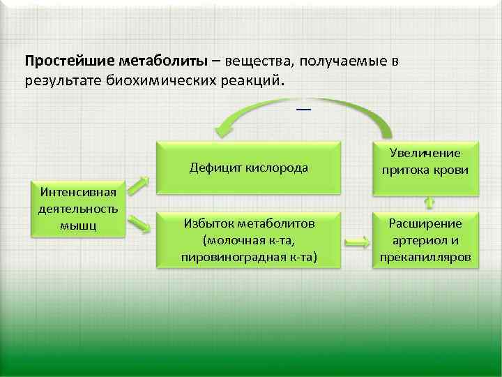 Простейшие метаболиты – вещества, получаемые в результате биохимических реакций. _ Дефицит кислорода Интенсивная деятельность