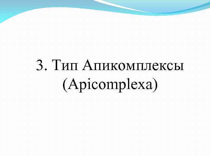 3. Тип Апикомплексы (Apicomplexa) 