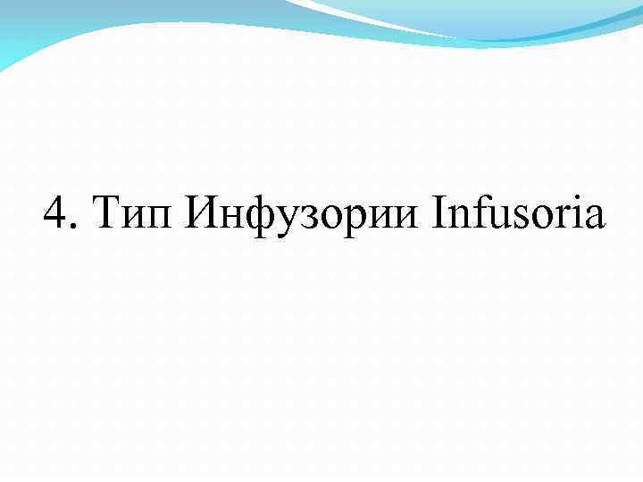 4. Тип Инфузории Infusoria 