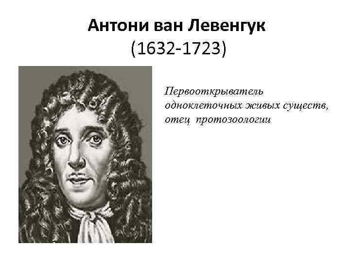 Антони ван Левенгук (1632 -1723) Первооткрыватель одноклеточных живых существ, отец протозоологии 