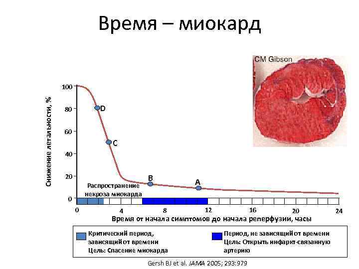 Время – миокард Снижение летальности, % 100 D 80 60 C 40 20 Распространение