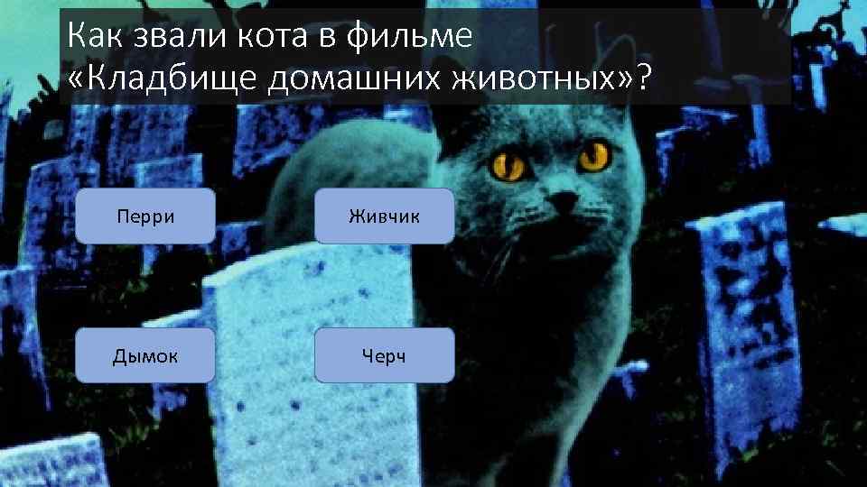 Как звали кота в фильме «Кладбище домашних животных» ? Перри Живчик Дымок Черч 