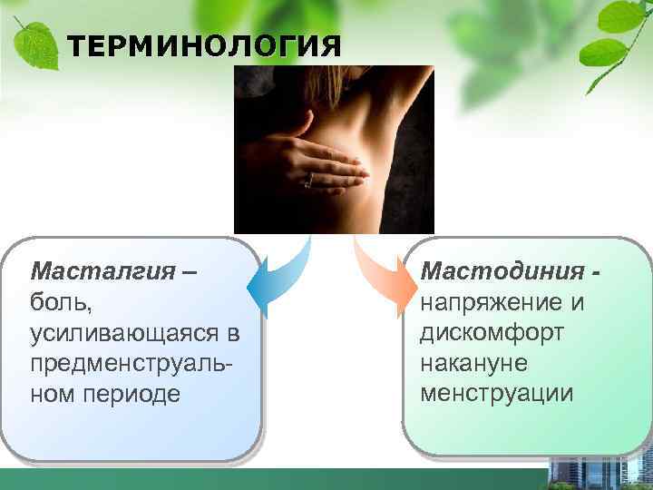 ТЕРМИНОЛОГИЯ Масталгия – боль, усиливающаяся в предменструальном периоде Мастодиния напряжение и дискомфорт накануне менструации