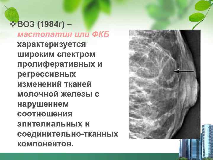 v ВОЗ (1984 г) – мастопатия или ФКБ характеризуется широким спектром пролиферативных и регрессивных