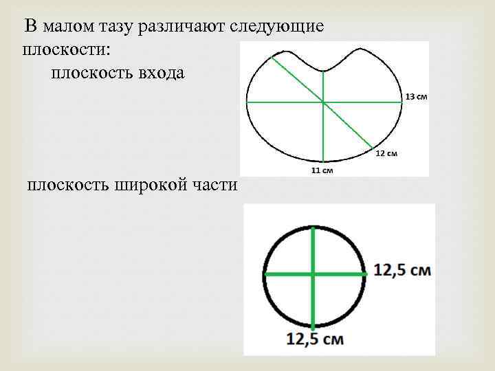 В малом тазу различают следующие плоскости: плоскость входа плоскость широкой части 