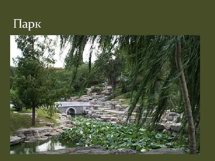 Парк 