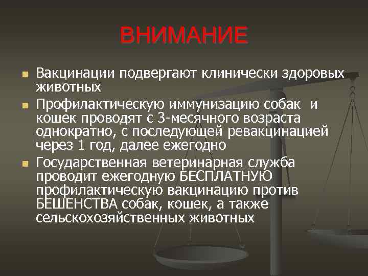 ВНИМАНИЕ Вакцинации подвергают клинически здоровых животных Профилактическую иммунизацию собак и кошек проводят с 3
