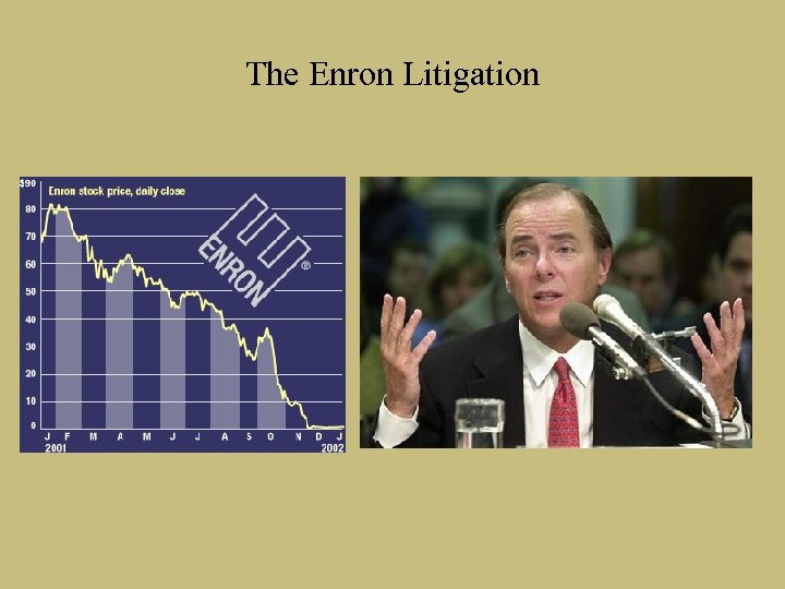 The Enron Litigation 