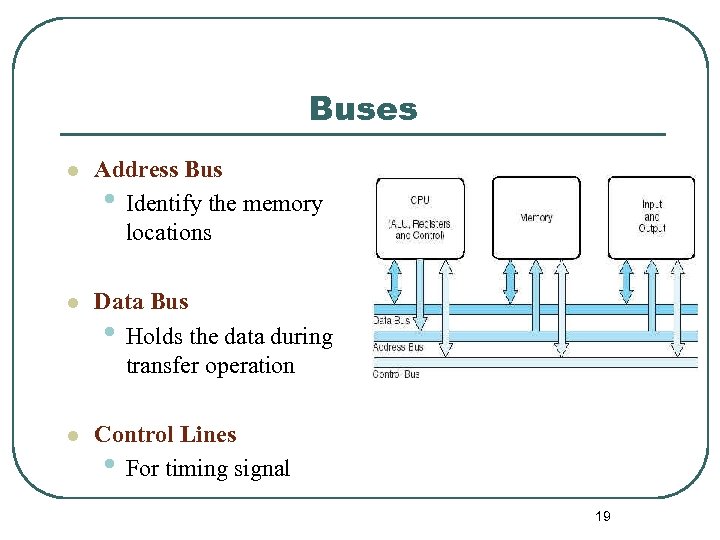 Buses l Address Bus • Identify the memory locations l Data Bus • Holds