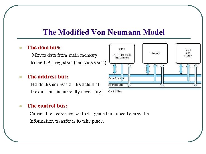 The Modified Von Neumann Model l The data bus: Moves data from main memory