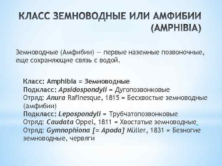 Земноводные (Амфибии) — первые наземные позвоночные, еще сохраняющие связь с водой. Класс: Amphibia =