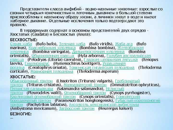 Представители класса амфибий – водно-наземные животные: взрослые со своими четырьмя конечностями и легочным дыханием