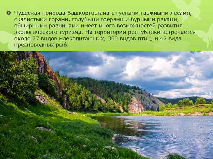  Чудесная природа Башкортостана с густыми таежными лесами, скалистыми горами, голубыми озерами и бурными