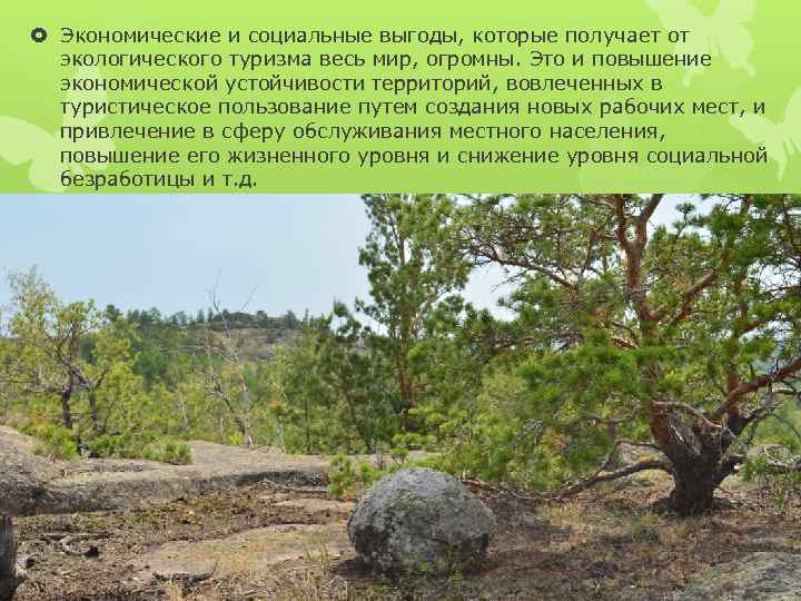  Экономические и социальные выгоды, которые получает от экологического туризма весь мир, огромны. Это