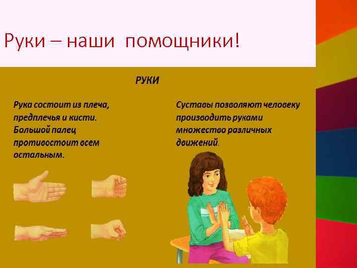 Руки – наши помощники! 