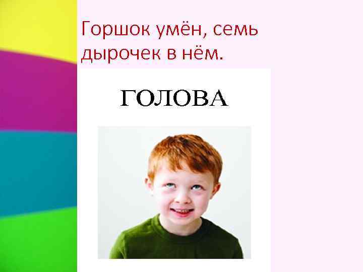 Горшок умён, семь дырочек в нём. 