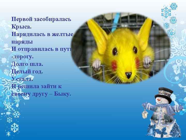 Первой засобиралась Крыса. Нарядилась в желтые наряды И отправилась в путь -дорогу. Долго шла.