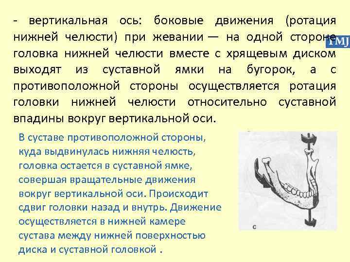 - вертикальная ось: боковые движения (ротация нижней челюсти) при жевании — на одной стороне