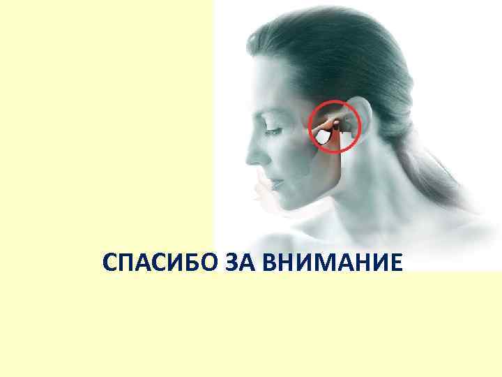 СПАСИБО ЗА ВНИМАНИЕ 