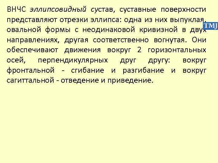 ВНЧС эллипсовидный сустав, суставные поверхности представляют отрезки эллипса: одна из них выпуклая, овальной формы