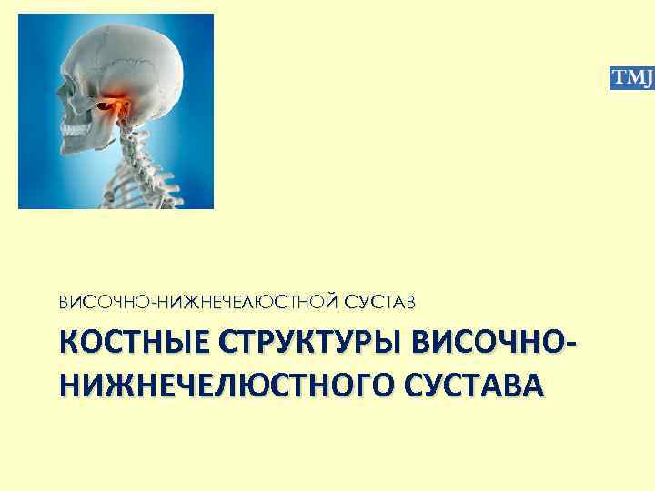 ВИСОЧНО-НИЖНЕЧЕЛЮСТНОЙ СУСТАВ КОСТНЫЕ СТРУКТУРЫ ВИСОЧНОНИЖНЕЧЕЛЮСТНОГО СУСТАВА 