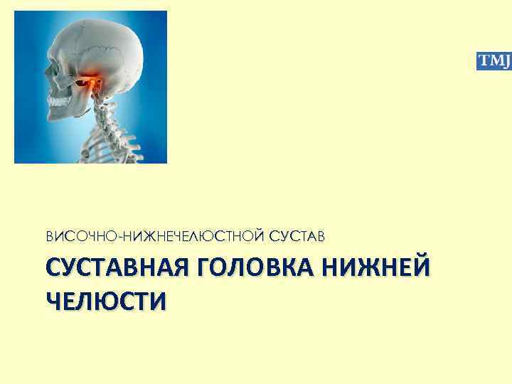 ВИСОЧНО-НИЖНЕЧЕЛЮСТНОЙ СУСТАВНАЯ ГОЛОВКА НИЖНЕЙ ЧЕЛЮСТИ 